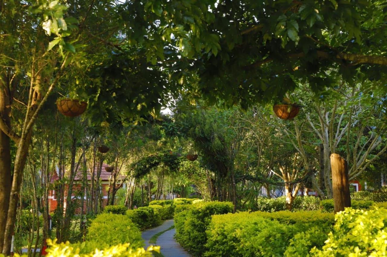 Chalets Resort Masinagudi Ooty Exterior foto
