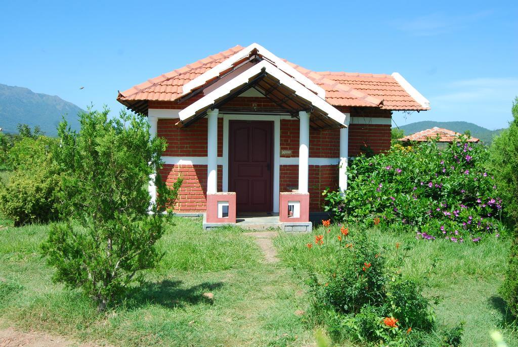 Chalets Resort Masinagudi Ooty Exterior foto